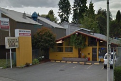 seattle dog resort pet friendly care boarding and grooming in seattle, washington